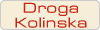 Droga Kolinska